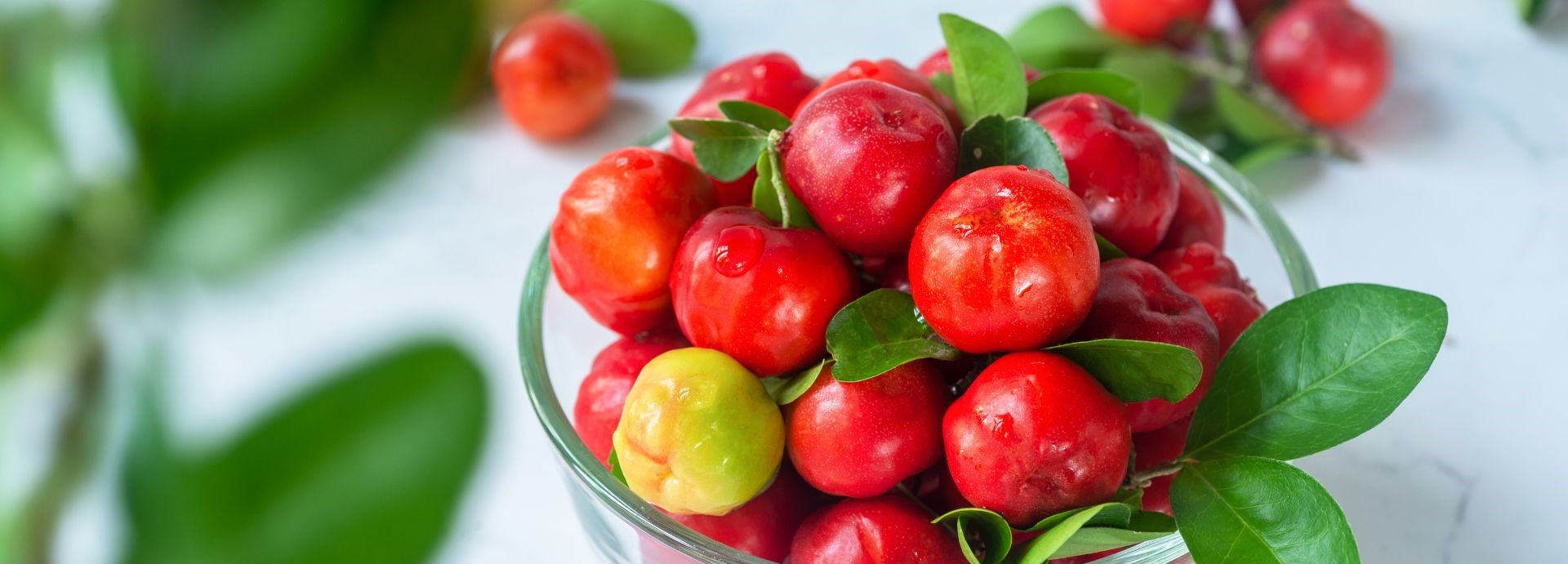 l'acérola fruit